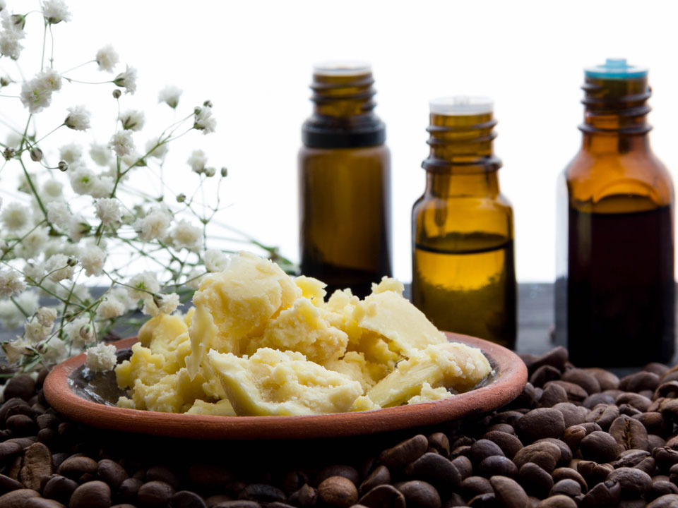 ERMIS Agencies SRL, Ermis Agencies Srl, Ermis Agencies Srl Romania, ERMIS Agencies S.R.L, Ermis Agencies S.r.l. , ERMIS AGENCIES S.R.L, ERMIS AGENCIES S.R.L ROMANIA