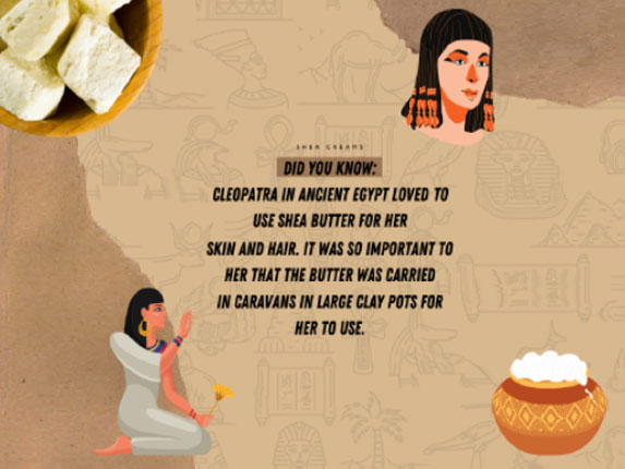 home_ermis_agencies_singleproduct1