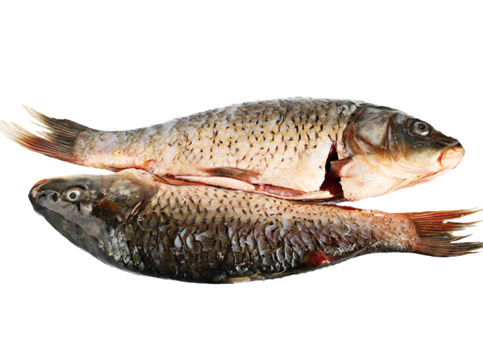 ERMIS Agencies SRL, Ermis Agencies Srl, Ermis Agencies Srl Romania, ERMIS Agencies S.R.L, Ermis Agencies S.r.l. , ERMIS AGENCIES S.R.L, ERMIS AGENCIES S.R.L ROMANIA